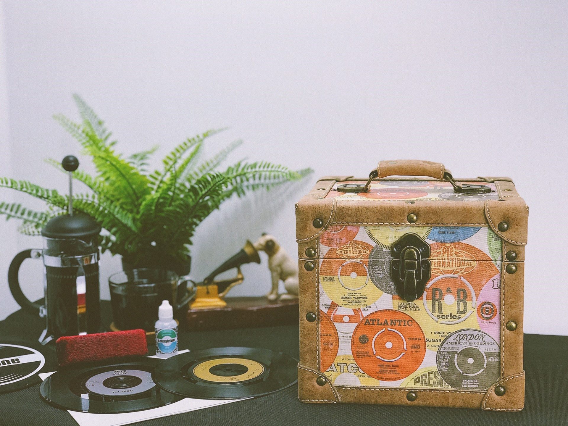 Steepletone SRB07SGL 7 Inch Vinyl Singles Retro Style Storage Carry Case